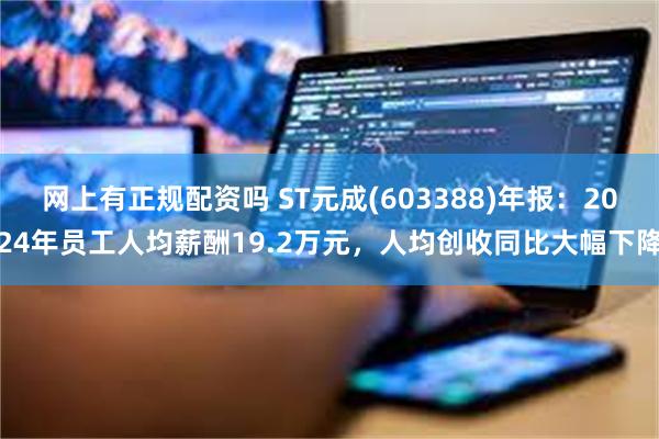 网上有正规配资吗 ST元成(603388)年报：2024年员工人均薪酬19.2万元，人均创收同比大幅下降