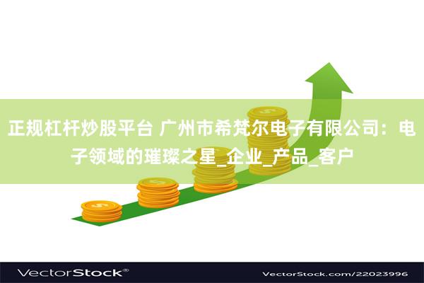 正规杠杆炒股平台 广州市希梵尔电子有限公司：电子领域的璀璨之星_企业_产品_客户
