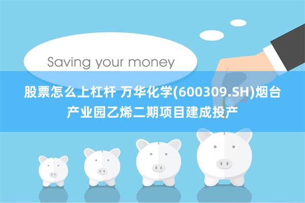 股票怎么上杠杆 万华化学(600309.SH)烟台产业园乙烯二期项目建成投产