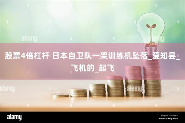股票4倍杠杆 日本自卫队一架训练机坠落_爱知县_飞机的_起飞