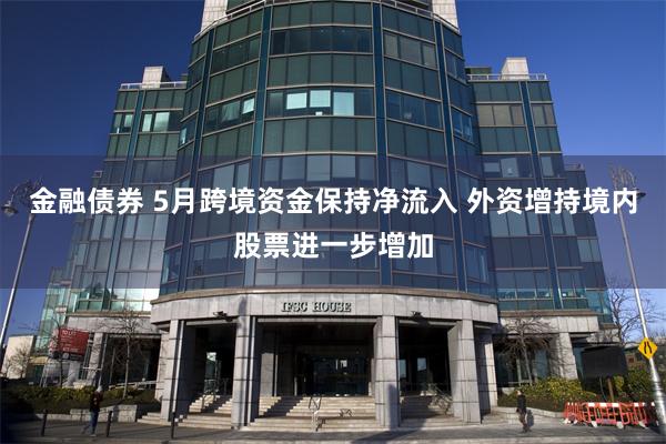 金融债券 5月跨境资金保持净流入 外资增持境内股票进一步增加