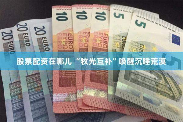 股票配资在哪儿 “牧光互补”唤醒沉睡荒漠