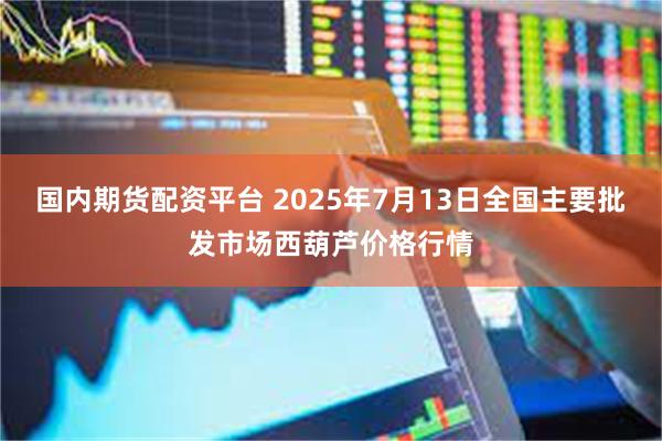 国内期货配资平台 2025年7月13日全国主要批发市场西葫芦价格行情