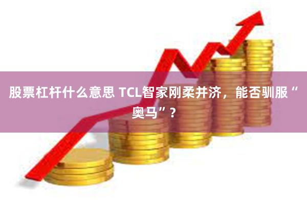 股票杠杆什么意思 TCL智家刚柔并济，能否驯服“奥马”？