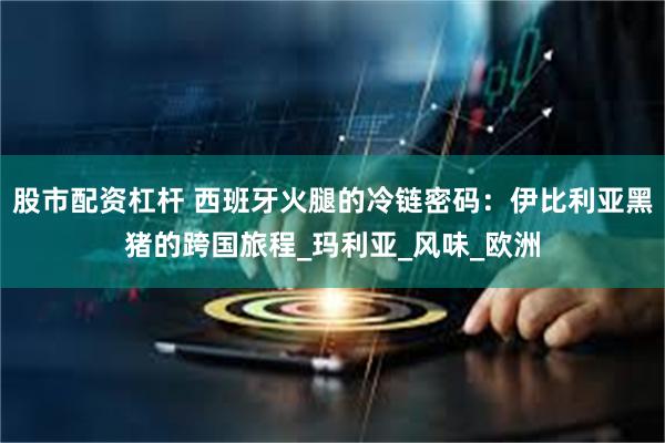 股市配资杠杆 西班牙火腿的冷链密码：伊比利亚黑猪的跨国旅程_玛利亚_风味_欧洲
