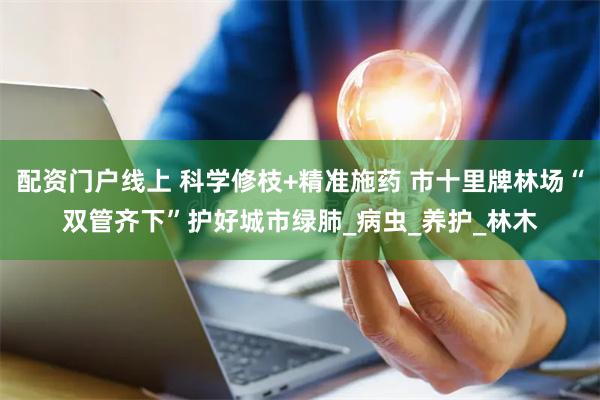配资门户线上 科学修枝+精准施药 市十里牌林场“双管齐下”护好城市绿肺_病虫_养护_林木