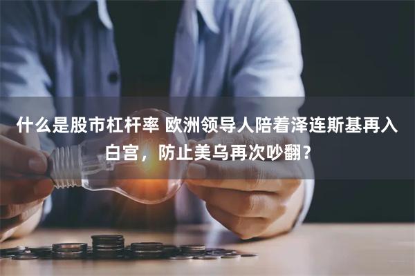 什么是股市杠杆率 欧洲领导人陪着泽连斯基再入白宫，防止美乌再次吵翻？