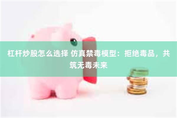 杠杆炒股怎么选择 仿真禁毒模型：拒绝毒品，共筑无毒未来